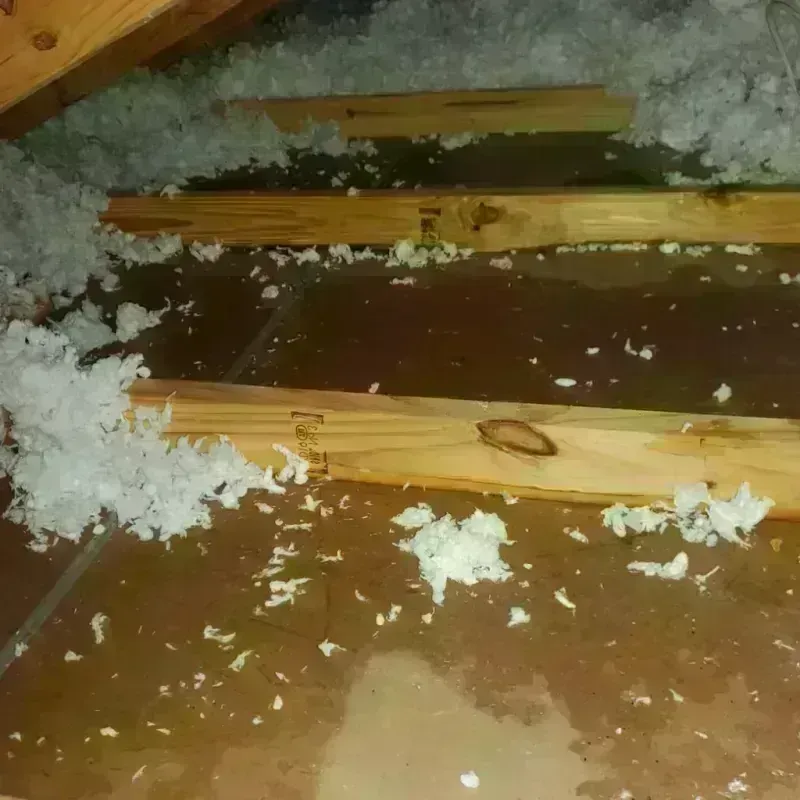 Attic Water Damage in Kirbyville, TX